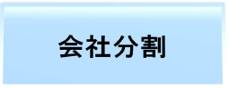 会社分割 項目
